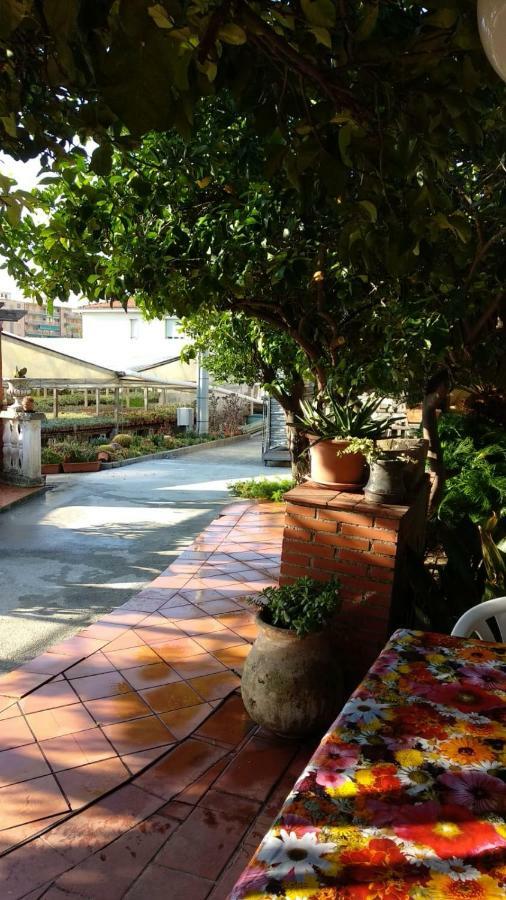 Ca' Federica Vallecrosia Exterior foto