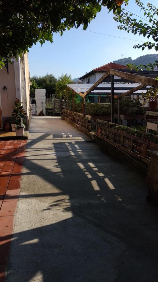Ca' Federica Vallecrosia Exterior foto